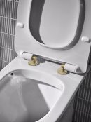 Tavistock Orbit Brushed Brass Toilet Seat Cover Caps