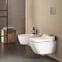 Geberit AquaClean Tuma Comfort WC Complete Solution with Wall Hung WC (Stainless Steel)