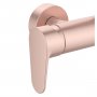 Ideal Standard Ceraflow ALU+ Shower System with Exposed Single Lever Shower Mixer - Rose