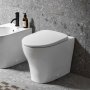 Geberit Selnova Rimless Shrouded Back-to-Wall Pan & Soft Close, Quick Release Seat Pack