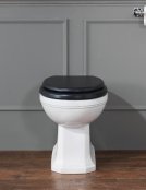 Silverdale Empire Back-to-Wall Toilet
