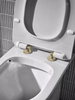 Tavistock Brushed Brass Toilet Seat Cover Caps