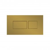 Britton Bathrooms Hoxton Brushed Brass Dual Flush Plate