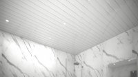 Zest Ceiling Panel 200 x 2600 x 6mm (Pack Of 4) - Gloss White 2 Silver Strips