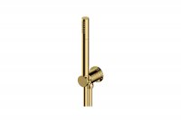 RAK Single Function Shower Kit - Gold