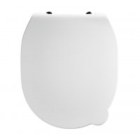 Armitage shanks Contour 21 Splash toilet seat and cover - White
