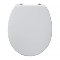 Armitage shanks Contour 21 Toilet Seat and Cover - Black