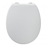 Armitage shanks Contour 21 Toilet seat and cover top fixing hinges white