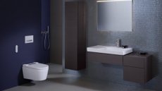 Geberit Bathroom Suites