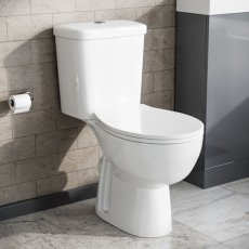 Armitage Shanks Toilets