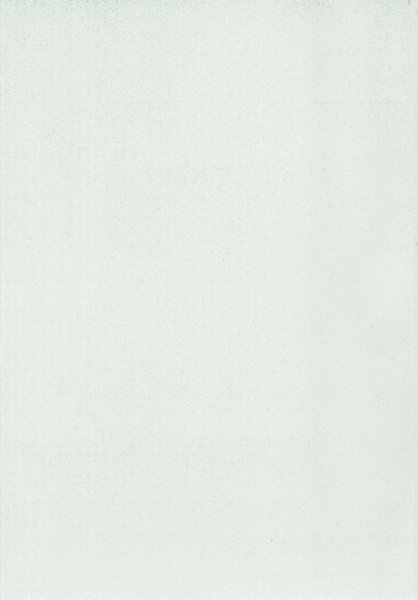 Zest Wall Panel 2600 x 250 x 5mm (Pack Of 3) - Aspen