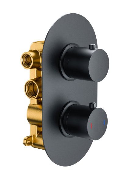 The White Space Lozenge Shape Dual Outlet Thermostatic Shower Valve - Matt Black