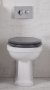 Tavistock Vitoria Back-to-Wall Toilet
