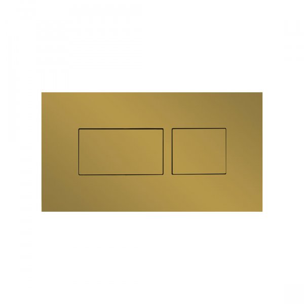 Britton Bathrooms Hoxton Brushed Brass Dual Flush Plate