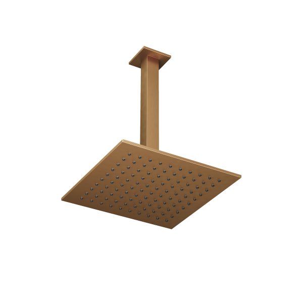 Abacus Square Head and Ceiling Arm - Brushed Brass