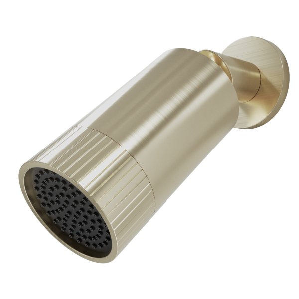 Scudo Core Spotlight Shower Head - Brushed Brass