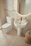 Tavistock Compass Round Closed-Back Close Coupled Rimless Toilet