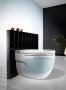 Roca Meridian-N In Tank - Back to wall WC