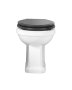 Tavistock Vitoria Back-to-Wall Toilet
