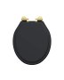 Tavistock Secure Fix Toilet Seat with Brushed Brass Hinges - Matt Black