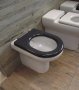 RAK Compact Anthracite Grey Special Needs Seat Without Lid