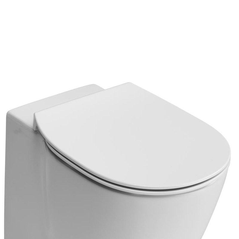 wc toilet seat