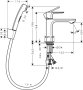 Hansgrohe Rebris E Single Lever Basin Mixer 110 with Bidette Hand Shower & Shower Hose 160cm Set