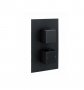 RAK Square Black Dual Outlet 2 Handle Thermostatic Concealed Shower Valve