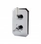 RAK Washington Dual Outlet Thermostatic Shower Valve