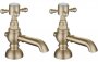Purity Collection Terni Basin Pillar Taps - Brushed Brass