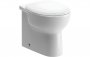 Purity Collection Vineyard Back To Wall Toilet & Soft Close Seat