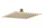 Purity Collection 200mm Square Showerhead - Brushed Brass
