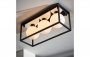 Purity Collection Cube Frame Ceiling Light - Matt Black