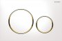 Geberit Sigma 20 White/Gold Plated/White Dual Flush Plate