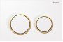 Geberit Omega 20 White/Gold-plated/White Dual Flush Plate