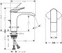 Hansgrohe Vivenis Single Lever Basin Mixer 110 with Pop-Up Waste Set - Matt Black