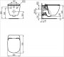 Ideal Standard Tesi Silk Black Wall Hung WC with Aquablade