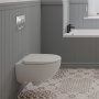 Geberit Alpha 1120mm Wall Hung Cistern Frame & Alpha01 Round Flush Plate