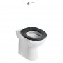 Armitage Shanks Contour 21+ Raised Height Back To Wall Rimless Toilet