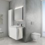 Geberit Sigma 21 Concrete Look Dual Flush Plate