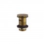 Britton Hoxton Slotted Click Clack Brushed Brass Basin Waste
