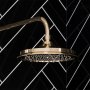 Burlington Riviera Gold Fixed AirBurst Shower Head and Arm