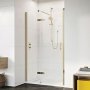 Roman Innov8 Hinged Door with In-Line Panel 1200mm (Alcove Fitting)