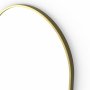 Origins Living Docklands Capsule Mirror 50 Brushed Brass - 50x80cm