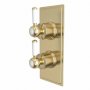 Tavistock Lansdown Dual Function Shower Valve - Brushed Brass