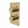 Tavistock Quantum Dual Function Shower Valve - Brushed Brass