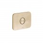 Vado Zone Brushed Gold Horizontal Concealed Stop Valve