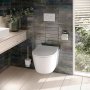 TOTO RP Compact Soft Close Toilet Seat with Stainless Steel Hinges