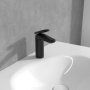 Villeroy & Boch Antao Single-Lever Basin Mixer with Pop-Up Waste - Matt Black
