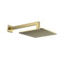 Scudo Square Shower Arm & Head - Brushed Brass